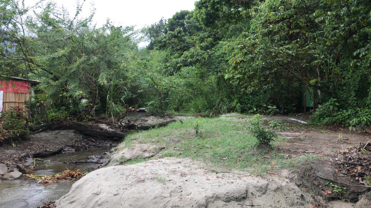 Polícia ambiental verifica denúncia do Linha Verde sobre despejo de esgoto em Paraty
